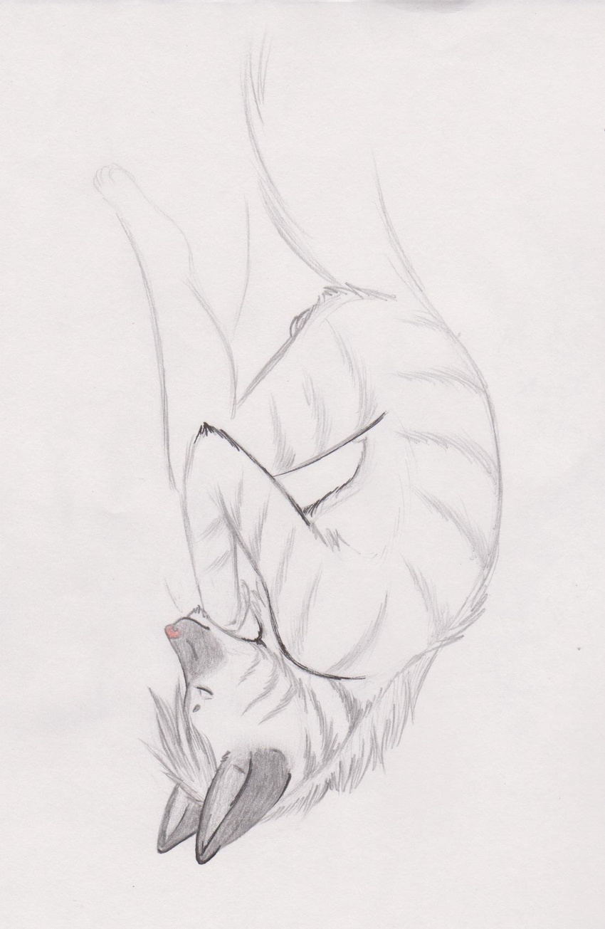 adrien anthro birth complete grammarshinehyena hyena innocent male mammal nude sketch sleeping solo unconscious