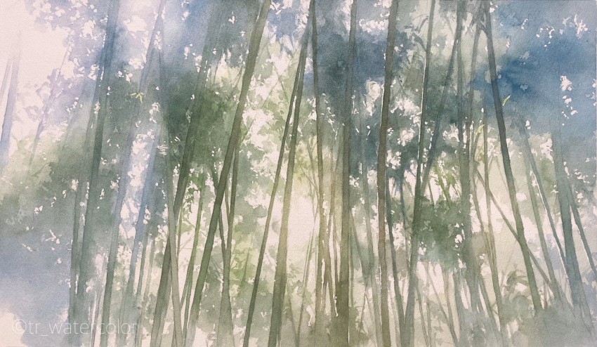 bamboo bamboo_forest bush day forest highres leaf nature no_humans original plant plant_focus scenery sunlight toyonaga_ryouhei