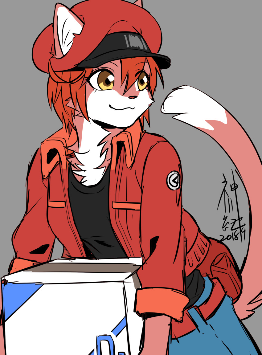 2018 absurd_res alternate_species anthro box cat cells_at_work! clothed clothing feline female fur furrification hair hat hi_res mammal noriya_kamikawa red_blood_cell red_fur red_hair signature smile solo