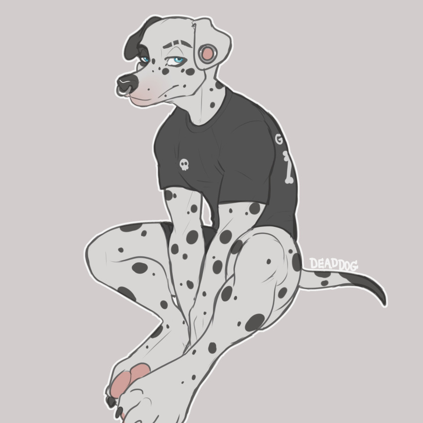 anthro bambii_dog canid canine canis clothed clothing dalmatian domestic_dog facial_piercing looking_at_viewer male mammal nose_piercing piercing septum_piercing simple_background sitting solo