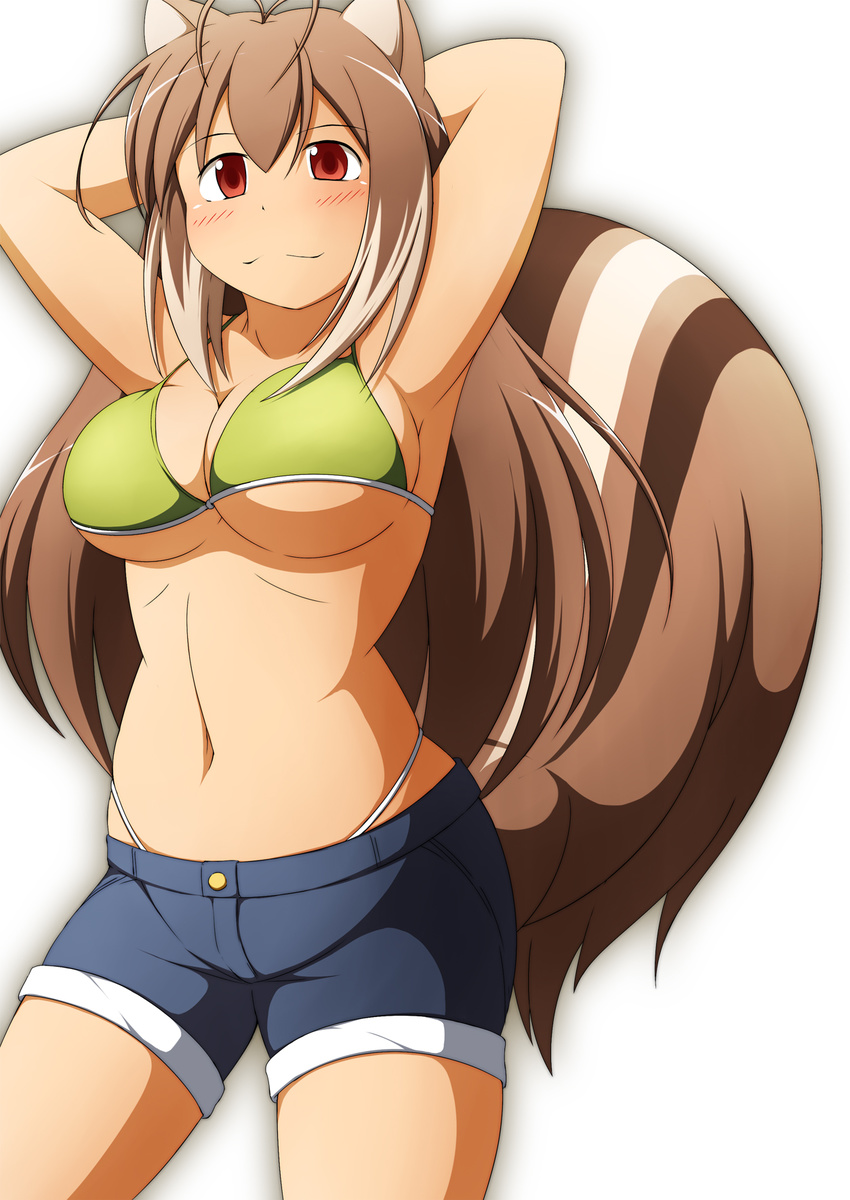 alternate_hair_length alternate_hairstyle animal_ears antenna_hair armpits arms_behind_head bikini blazblue blush breasts brown_hair denim denim_shorts highleg highleg_bikini highleg_panties highleg_swimsuit highres large_breasts long_hair makoto_nanaya mirano navel panties red_eyes shorts smile solo squirrel_ears squirrel_tail swimsuit tail underboob underwear