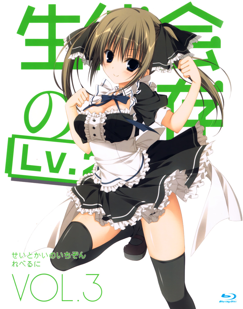 black_legwear blu-ray_cover breasts brown_eyes brown_hair cleavage cover highres inugami_kira large_breasts legs maid seitokai_no_ichizon shiina_minatsu smile solo thighhighs twintails zettai_ryouiki