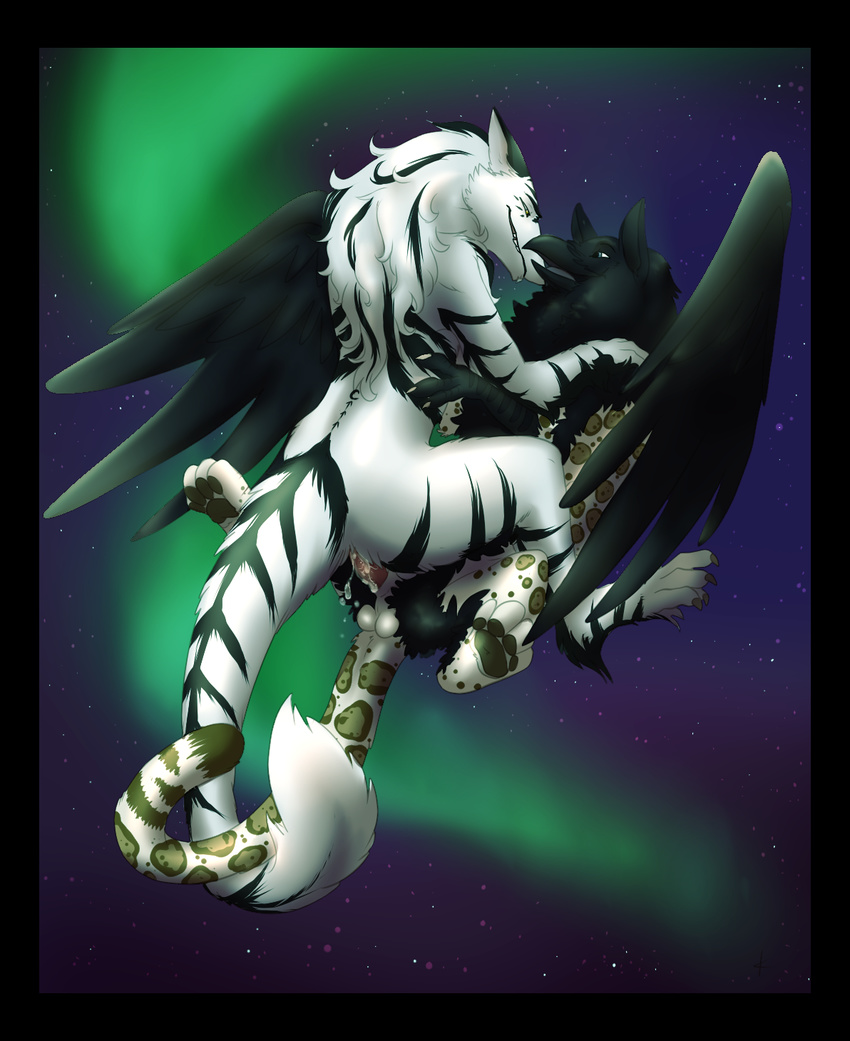 aurora_borealis avian balls beak bird black_feathers black_fur byakurai_tora claws crow cum faunoiphilia feline flying fur gay grave_gryphon gryphon jaguar knon male mammal midair penis raven sergal stars suspended_in_midair talons white_fur white_jaguar wings