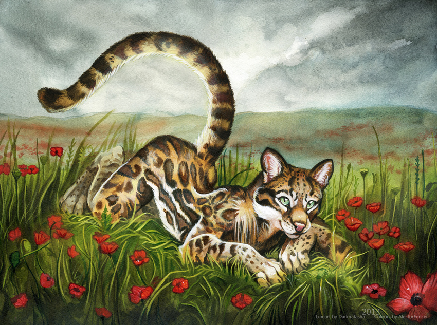 alectorfencer ambiguous_gender ass_up blue_eyes cloud collaboration dark_natasha feline flower grass looking_at_viewer lying mammal nude ocelot on_front outside pink_nose poppy_(flower) raised_tail sky solo traditional_media