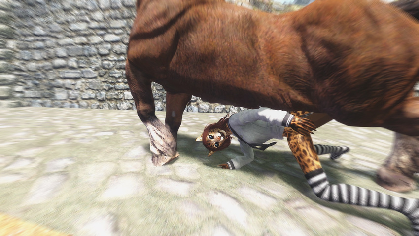 animal_genitalia bestiality breasts discombobulation equine feline female feral horse horsecock interspecies khajiit male mammal ohmes-raht penis sex socks straight the_elder_scrolls the_elder_scrolls_v:_skyrim video_games