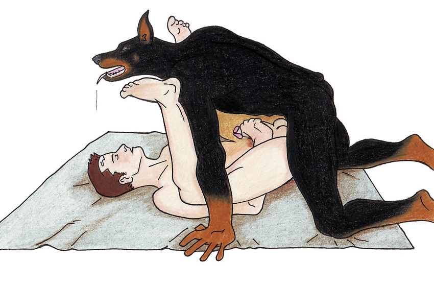 anal_penetration anthro anvil_position balls canine doberman dog duo erection eyes_closed gay human human_on_anthro interspecies kidnova male mammal penetration penis sex