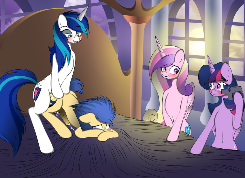 flash_sentry friendship_is_magic my_little_pony princess_cadence shining_armor twilight_sparkle v-d-k