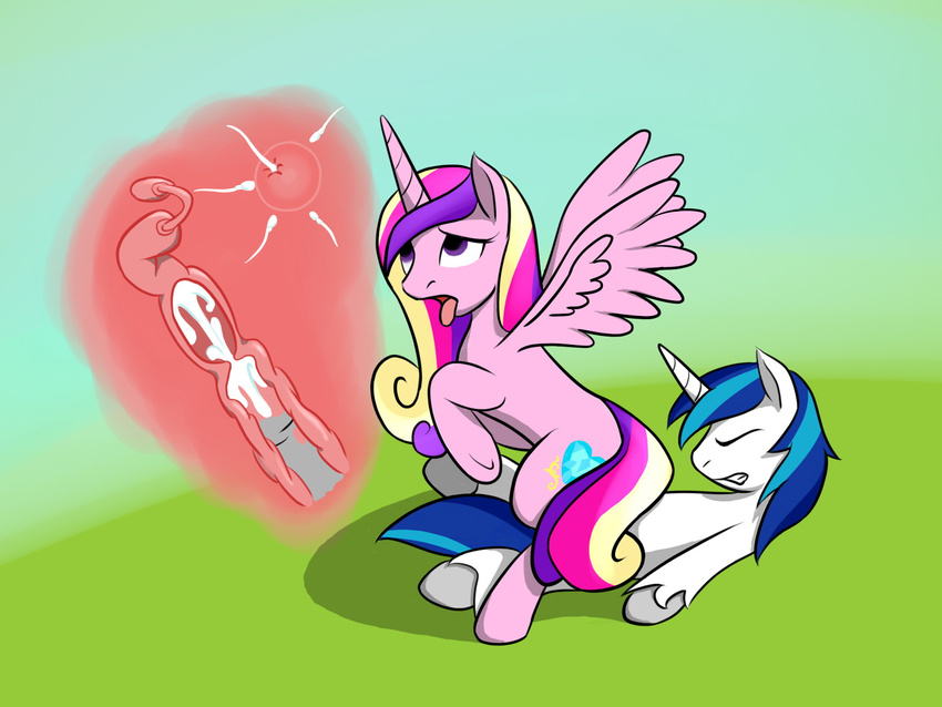 friendship_is_magic my_little_pony princess_cadence sewlde shining_armor