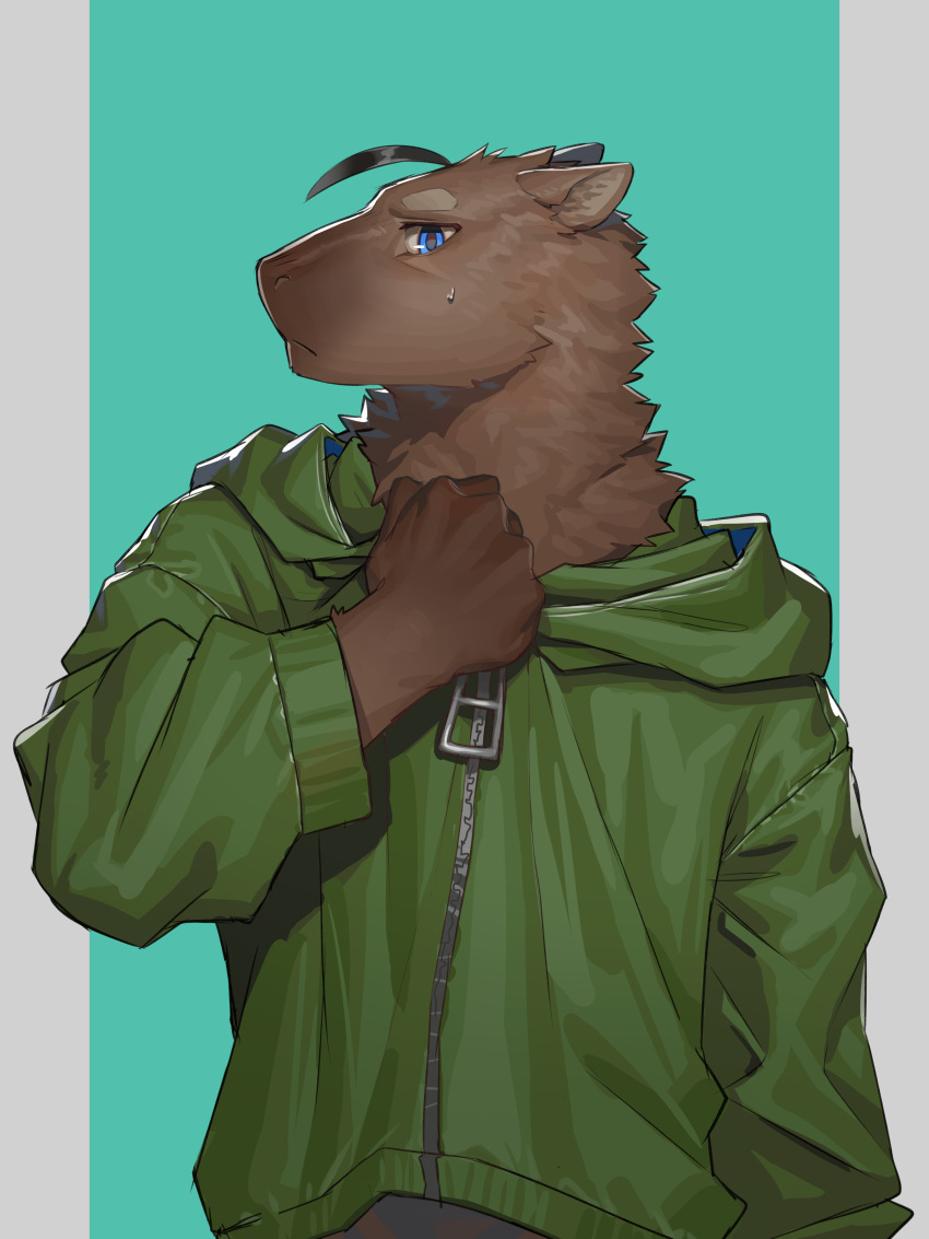 1boy absurdres ahoge arumao_(capybaraarumao) blue_eyes capybara_boy capybara_ears chinese_commentary clothes_grab commentary_request furry furry_male green_jacket highres hood hooded_jacket indie_virtual_youtuber jacket jacket_grab looking_at_viewer male_focus oversized_zipper profile sweatdrop ty_arashi