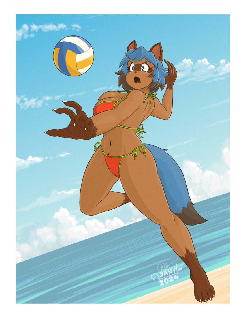 2024 4_toes 5_fingers action_pose anthro artist_logo beach blue_body blue_eyebrows blue_fur blue_hair blue_sky brand_new_animal brown_body brown_eyes brown_fur brown_nose canid canine cel_shading claws clothing crotch_tuft dutch_angle eyebrows eyelashes facial_markings feet female fingers fur gloves_(marking) green_eyes grey_body grey_fur grey_highlights hair head_markings hi_res highlights_(coloring) horizon jumping leg_markings logo looking_angry mammal markings mask_(marking) michiru_kagemori midair multicolored_eyes navel open_mouth outstretched_arm plantigrade pose pupils raccoon_dog red_clothing red_swimwear red_tongue sammfeatblueheart seaside shaded signature sky socks_(marking) solo sport studio_trigger swimwear tanuki toes tongue tuft two-piece_swimsuit volleyball white_claws white_clouds white_pupils