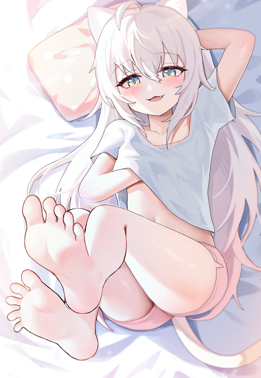 1girl :3 ahoge animal_ear_fluff animal_ears arm_behind_head arm_up barefoot bed blue_eyes blush cat_ears cat_girl cat_tail clothes_lift fang feet hand_under_clothes hand_under_shirt highres komi_(trickcal) legs legs_up lifted_by_self long_hair lying on_back open_mouth picter pillow pink_shorts shirt shirt_lift short_shorts short_sleeves shorts smile soles solo stomach tail thighs toes trickcal white_hair white_shirt