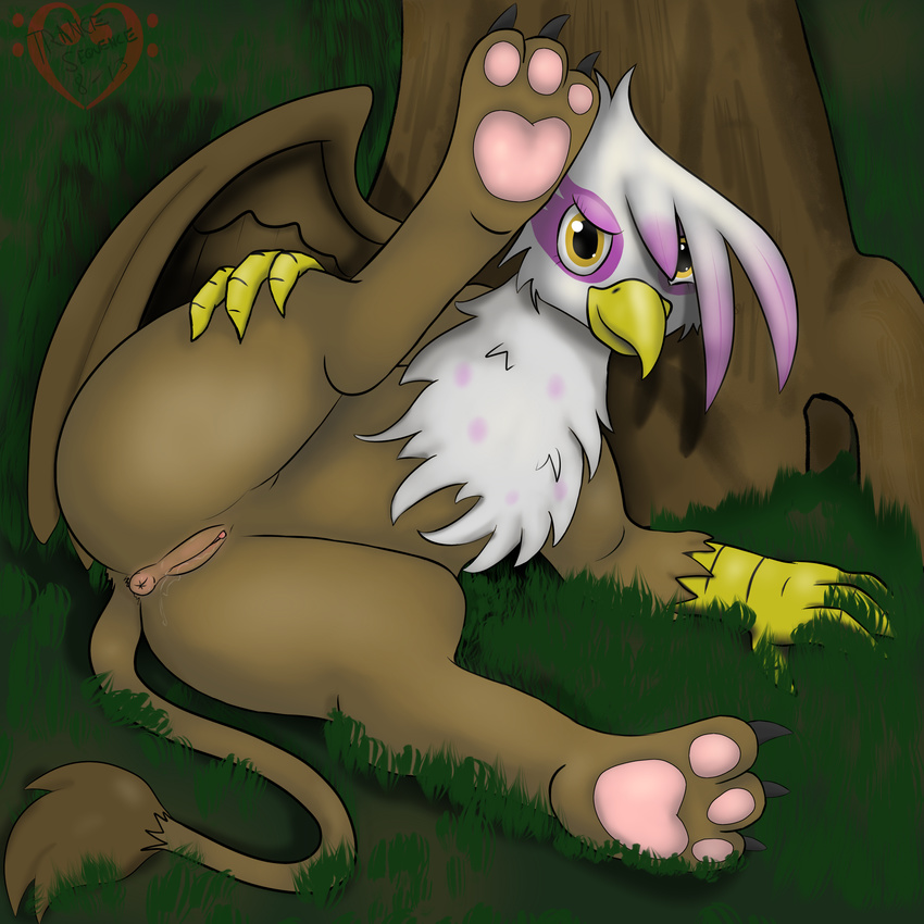 absurd_res anus avian beak female feral friendship_is_magic gilda_(mlp) grass gryphon hi_res my_little_pony outside presenting pussy pussy_juice solo spreading trancesequence tree wings