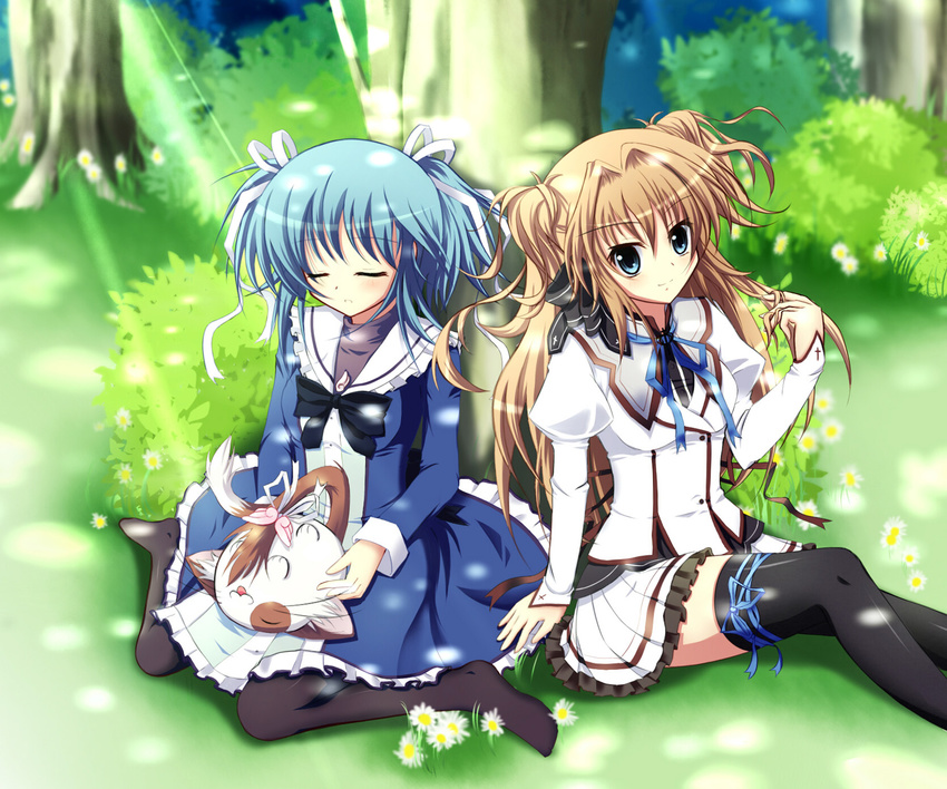 angel_koman mashiroiro_symphony pannya seifuku sena_airi uryuu_sakuno