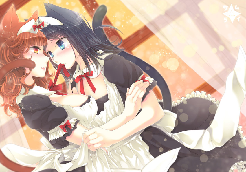 animal_ears apron black_hair blue_eyes blush cat_ears cat_tail curtains dress fang hug long_hair maid maid_headdress mouth_hold multiple_girls orange_eyes orange_hair original samucha short_hair skirt smile tail window yuri