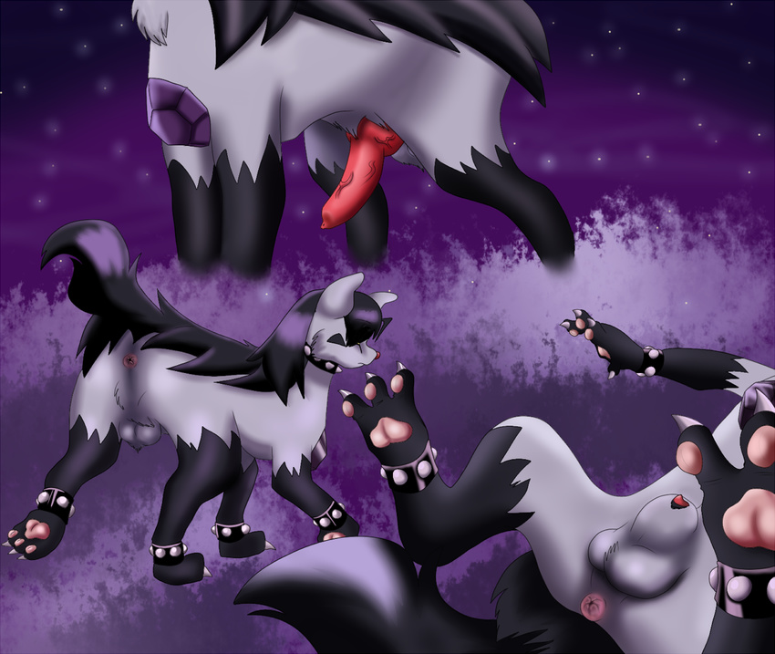 3_toes anus balls barefoot black_fur black_hair butt charmonic claws erection feral fur grey_fur hair hi_res hyena jewel knot lying male mightyena nintendo nude on_back penis pink_skin plain_background pok&eacute;mon presenting presenting_hindquarters purple_background raised_leg red_penis red_skin shadow shiny solo spread_legs spreading star toe_claws vein video_games