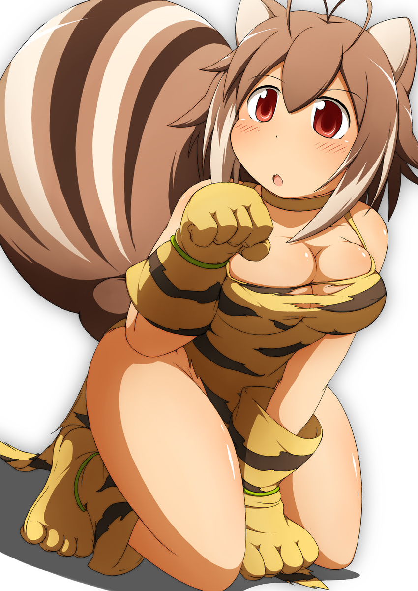 ahoge animal_ears animal_print blazblue breasts brown_hair cham_cham cham_cham_(cosplay) cleavage cosplay gloves highres large_breasts makoto_nanaya mirano paw_gloves paw_shoes paws red_eyes samurai_spirits shoes squirrel_ears squirrel_tail tail tiger_paws tiger_print