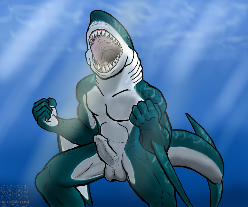 abs anthro balls biceps erection fangs fin fish fishmen glass great_white_shark male marine muscles nude open_mouth pecs penis pose shark solo teeth thecosmosowl water