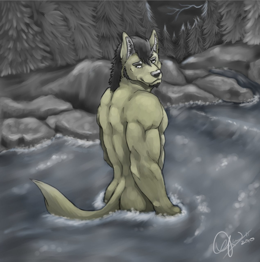 anthro back beard biceps big_muscles black_hair black_nose brown_fur butt canine dissimulated facial_hair forest fur grey_eyes hair looking_back male mammal muscles nude pecs pose river rock solo standing toned tree water wet