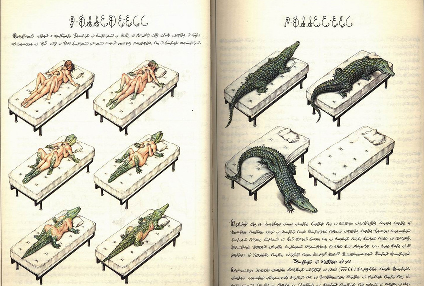 codex_seraphinianus crocodile female green_scales human invalid_color luigi_serafini male mammal matress merge nude reptile scales scalie sex straight text transformation what