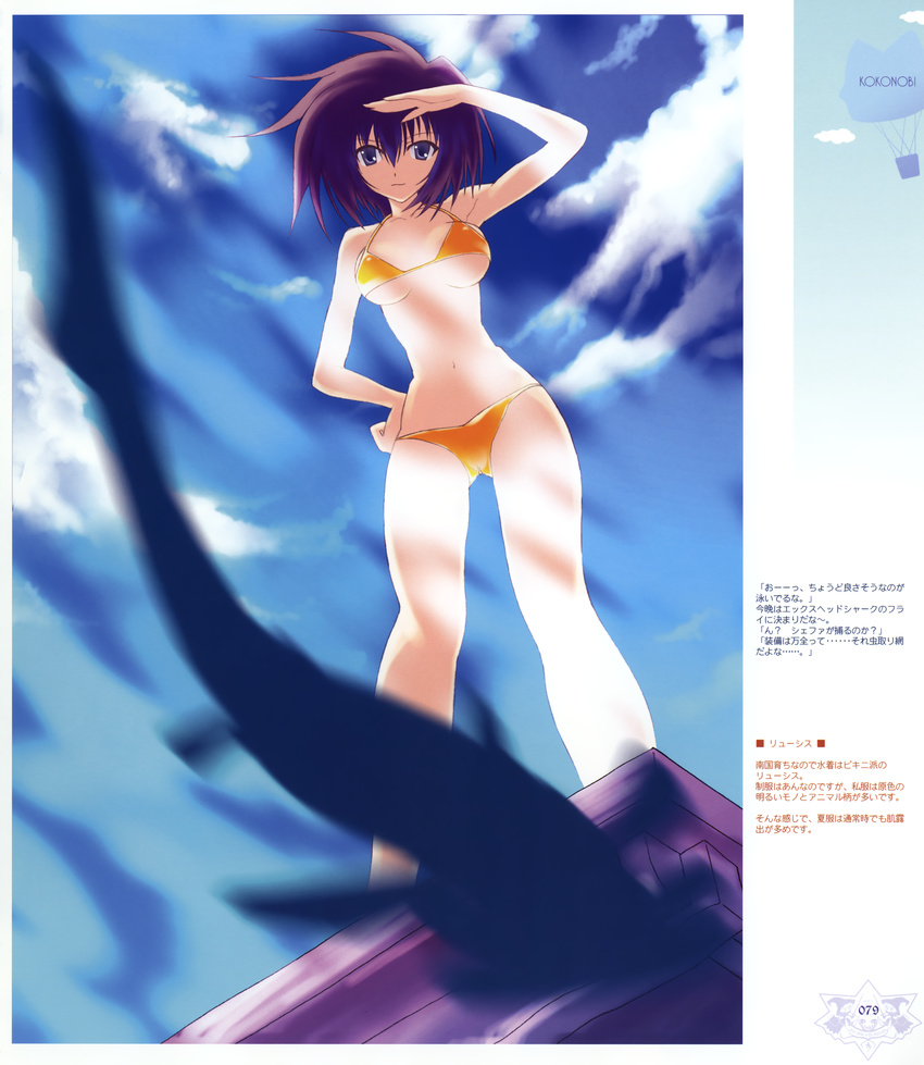 ice_&_choco kokonobi tagme