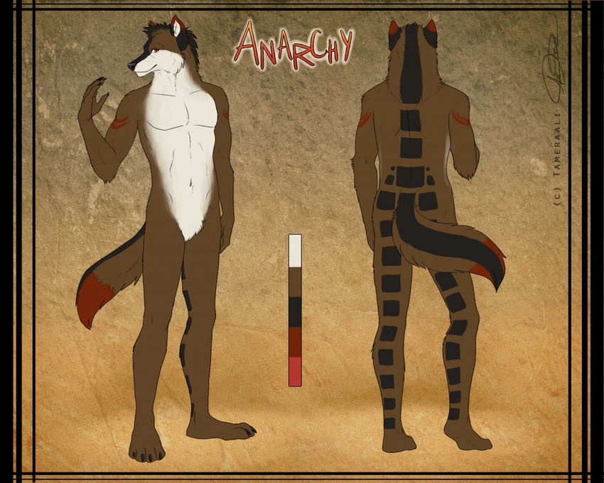 anarchyzeroes black_hair black_markings brown_fur canine color_swatch fur hair male mammal markings model_sheet navel red_eyes red_markings tamerali white_markings