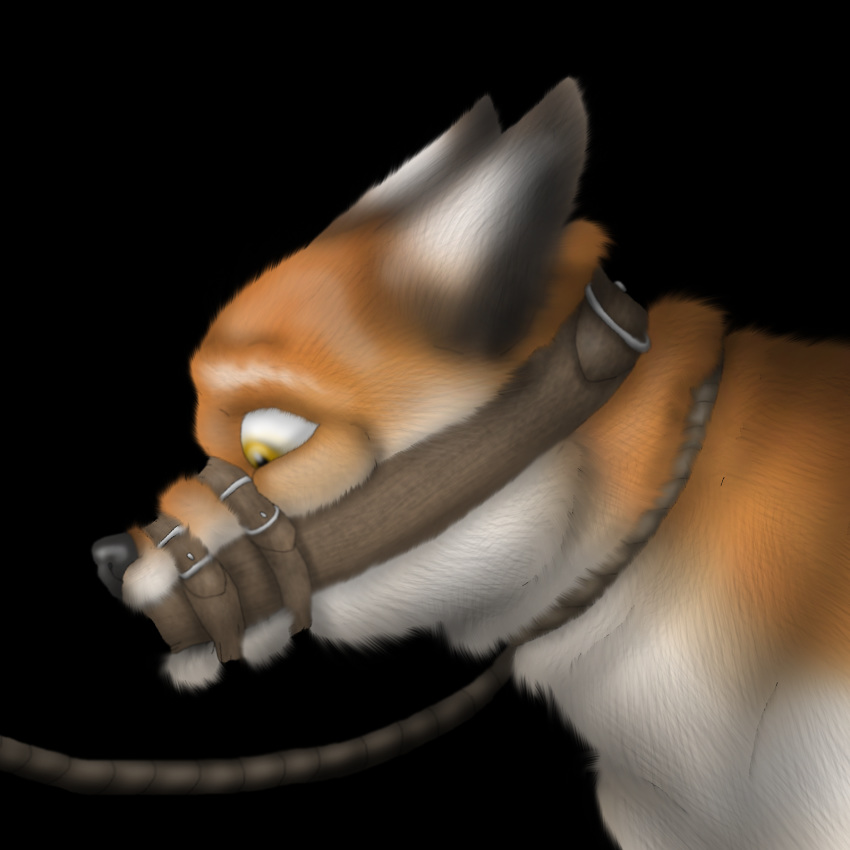 bdsm black_background bondage bound bust_(disambiguation) canid canine captured caught digital_media_(artwork) feral feral_bondage fox fur gag gagged hi_res invalid_color invalid_tag leather leather_bondage male mammal muzzle_(disambiguation) muzzle_(object) muzzled orange_fur raptorroper rope shocked simple_background solo submissive worried yellow_eyes