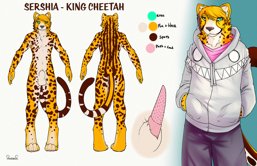 balls cheetah color feathers feline hoodie king_cheetah male mammal model_sheet nude penis pink_shirt ref_sheet sershia sheath simple_background solo syynx text