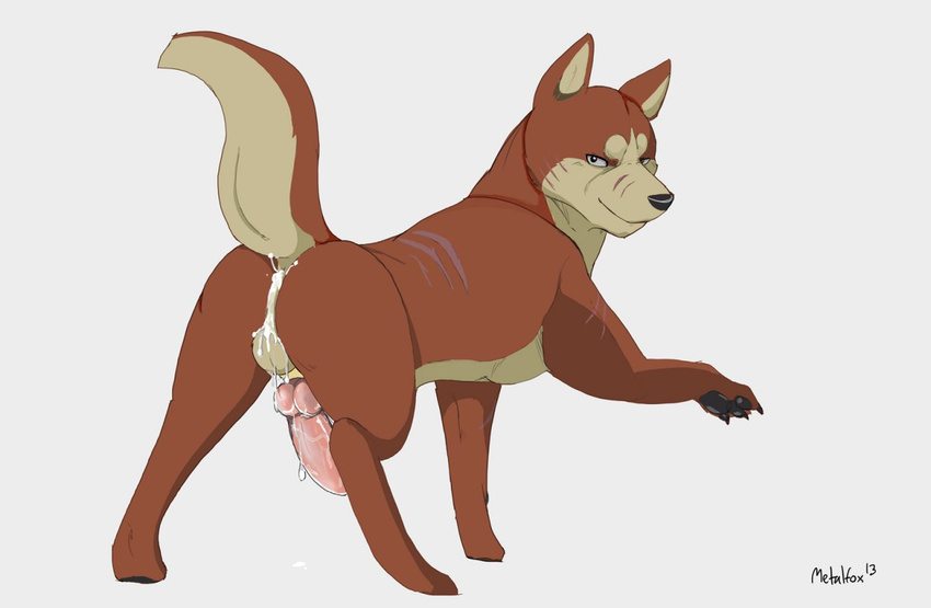 akita balls canine cum cum_in_ass cum_inside dog erection feral gay ginga_nagareboshi_gin knot looking_at_viewer looking_back male mammal metalfox nude pawpads penis plain_background raised_tail riki scar solo white_background