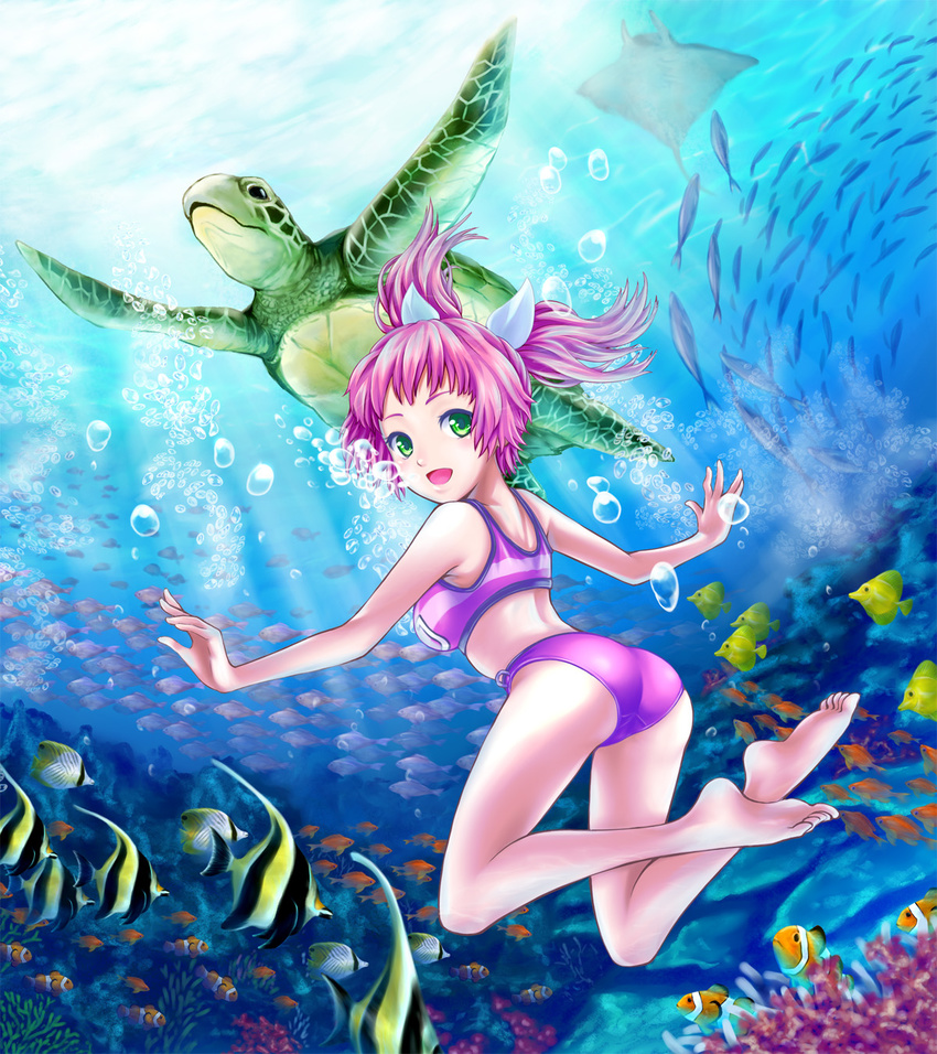 air_bubble barefoot bikini breath bubble coral diving fish freediving gavagai green_eyes highres manta_ray ocean pink_hair sea_turtle short_hair solo swimming swimsuit turtle umi_monogatari underwater urin_(umi_monogatari) water