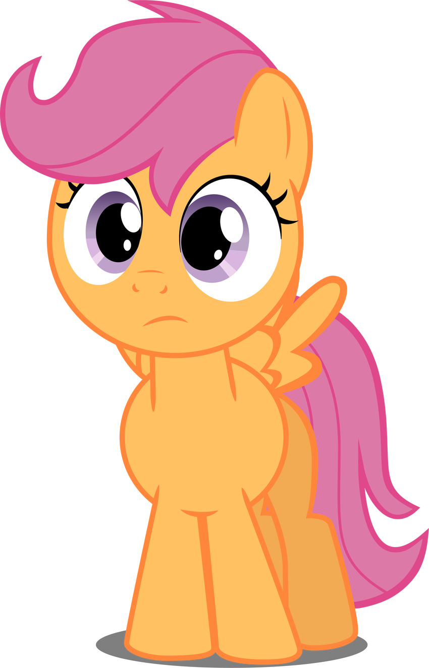 confused cub equine felix-kot female feral friendship_is_magic hair horse looking_at_viewer mammal my_little_pony pegasus plain_background pony purple_eyes purple_hair scootaloo_(mlp) solo transparent_background wings young