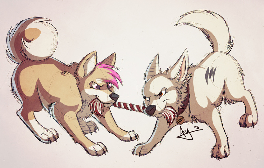 &lt;3 :3 bolt bolt_(film) brown_eyes canine cute disney dog feral friendly friends fur fursona invalid_tag male mammal moonlark plain_background playing smile tug_of_war white_fur young