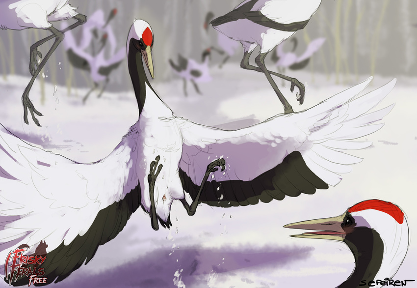 ambiguous_gender avian avoid_posting beak bird black_eyes blush claws cloaca crane feathers female feral frisky_ferals long_neck open_mouth red-crowned_crane sefeiren snow tongue