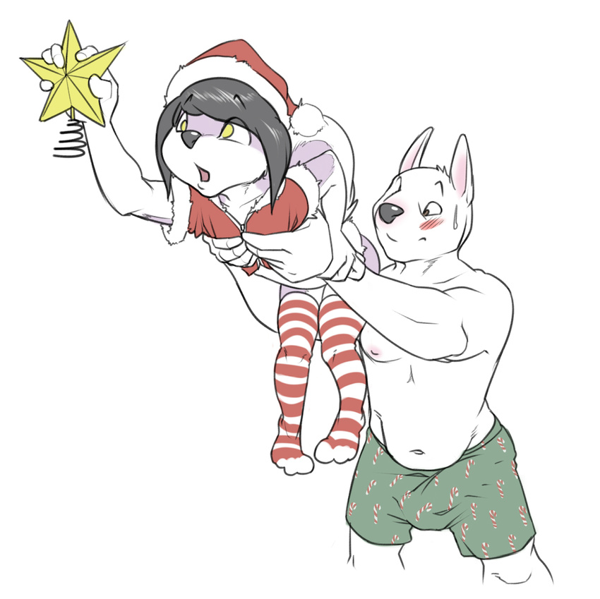 anthro bottomless boxers bulge canine christmas clothed clothing cub dog duo girly half-dressed hat holidays husky legwear male mammal santa_hat sasha sashabelle size_difference stockings striped_stockings thigh_highs underwear vpl young