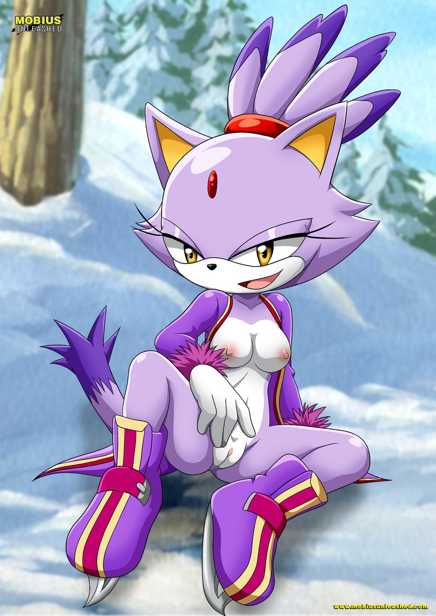 blaze_the_cat breasts cat feline female looking_at_viewer mammal mobius_unleashed nipples outside palcomix pussy sega sitting snow solo sonic_(series) spread_legs spreading tree