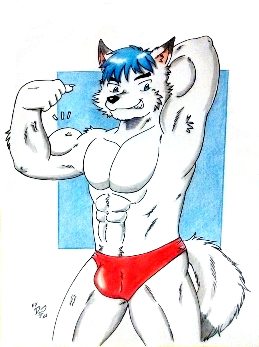 abs absurd_res anthro arctic_fox barazoku biceps big_muscles black_nose blue_eyes blue_hair bulge canid canine clothing dashthefox dj_(djdarkfox) flexing flexing_bicep flexing_muscles fox fur hair hand_behind_head hi_res looking_at_viewer male mammal manly muscular muscular_anthro muscular_male obliques pecs pinup pose red_clothing red_underwear simple_background smile tail teeth traditional_media_(artwork) underwear white_body white_fur