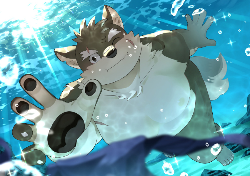 absurd_res agitong anthro asian_clothing belly blush canid canine canis clothing detailed_background domestic_dog east_asian_clothing eyebrows fundoshi hi_res holding_breath japanese_clothing lifewonders lost_underwear male mammal moritaka nude overweight pawpads scar solo swimming thick_eyebrows tokyo_afterschool_summoners underwater underwear water