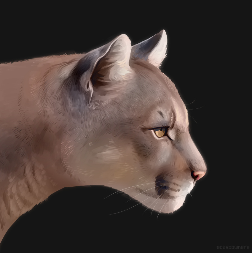 ambiguous_gender black_background brown_body brown_fur castowhere cougar felid feline feral fur hi_res mammal realistic simple_background solo whiskers
