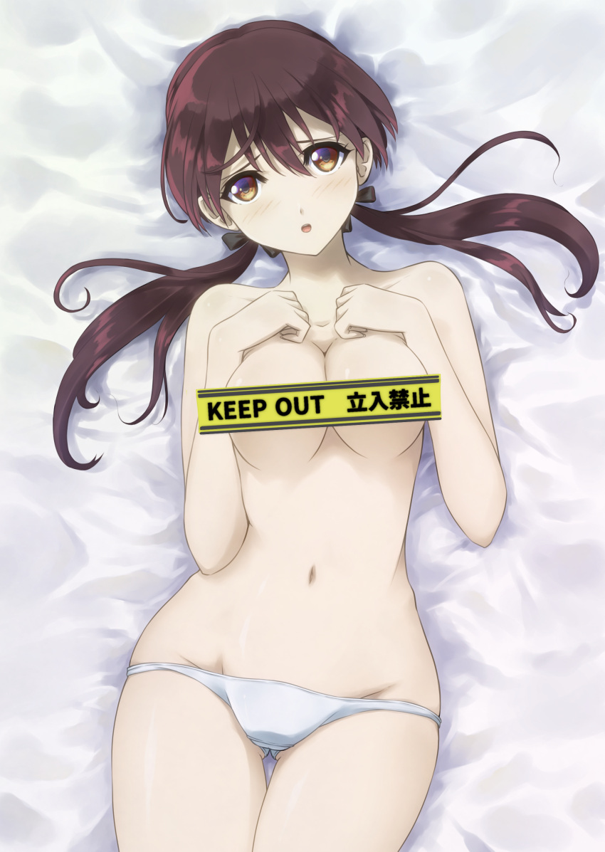 1girl absurdres blush breasts brown_eyes brown_hair gertrud_barkhorn hair_ribbon highres large_breasts long_hair looking_at_viewer memory_(prophet5) navel open_mouth panties ribbon solo strike_witches topless twintails underwear white_panties world_witches_series