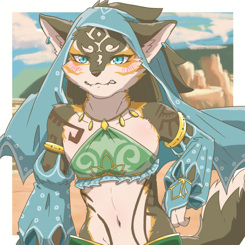 2023 anthro bite biting_lip blue_eyes blush blush_lines canid canine canis clothed clothing crossdressing digital_media_(artwork) dipstick_tail ear_piercing gerudo_outfit half-length_portrait hand_on_hip hi_res inner_ear_fluff link looking_at_viewer male mammal markings navel nintendo piercing portrait skimpy slim solo stonehitballs tail tail_markings teeth the_legend_of_zelda tuft wolf