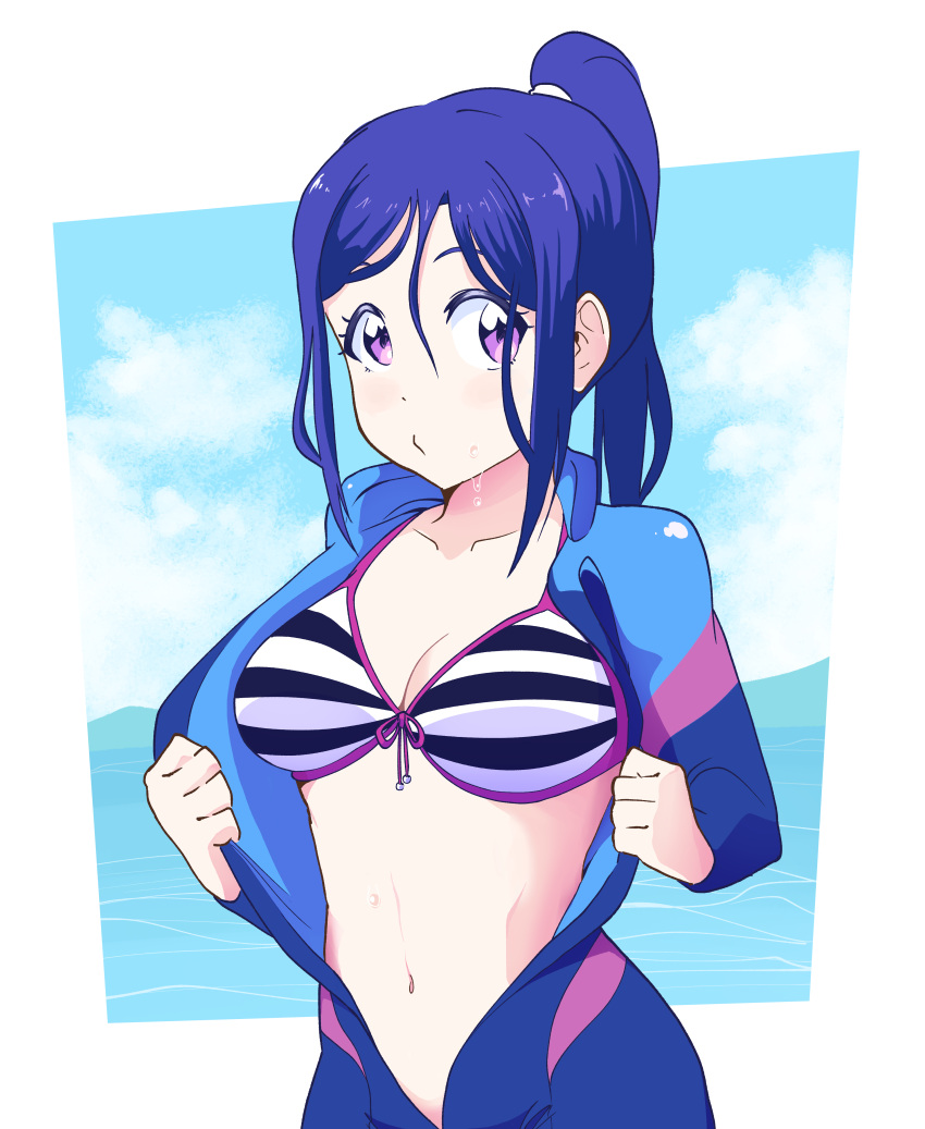 1girl absurdres bikini blue_hair blue_sky blush bodysuit border breasts cleavage closed_mouth collarbone cowboy_shot curetortellini diving_suit high_ponytail highres large_breasts long_hair long_sleeves looking_at_viewer love_live! love_live!_sunshine!! matsuura_kanan navel open_bodysuit open_clothes ponytail purple_eyes sky solo standing striped_bikini striped_clothes swimsuit wetsuit white_border