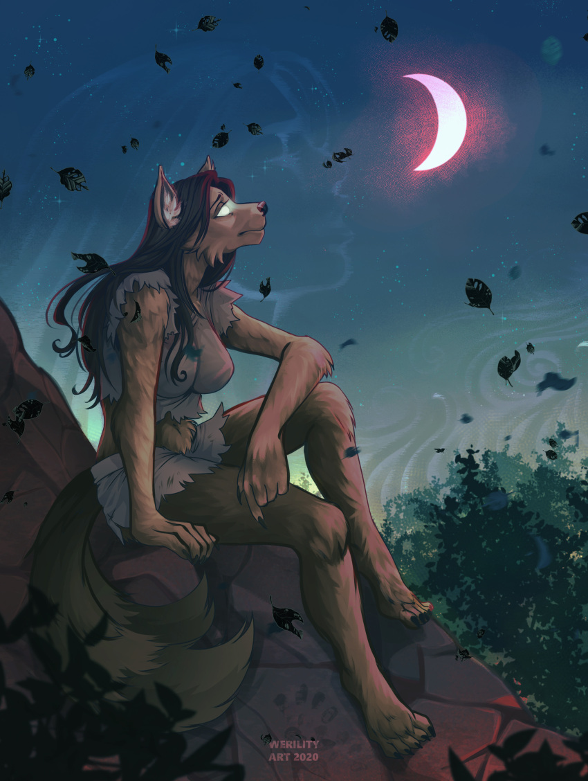 2020 2_tails 5_fingers absurd_res anthro barefoot breasts brown_body brown_fur canid canine claws digital_media_(artwork) feet female fingers fur glowing glowing_eyes hi_res implied_transformation looking_up mammal moon multi_tail mythological_canine mythological_creature mythology navel night outside plant rock sitting solo star tail tisa_kumbusu were werecanid werecanine werewolf werility