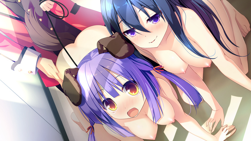 2girls animal_ears black_hair breasts game_cg hojo_tori kimi_to_boku_to_no_kishi_no_hibi_(kimikishi) minamihori_asuna nipples nude piriri! purple_eyes purple_hair tail yellow_eyes