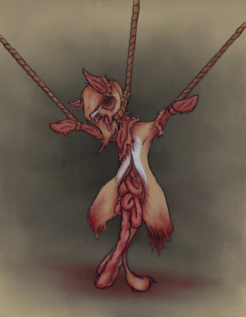 blood cub death disembowelment dismemberment donkey equine exposed_muscle eye_gouge gore grotesque_death guts hanging intestines jez jez_(artist) jezebel_(jez) mammal missing_jaw rope skinned snuff suspension tongue tongue_out young