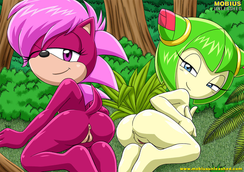 anus bbmbbf blue_eyes butt cosmo_the_seedrian duo female green_hair hair hedgehog looking_at_viewer looking_back mammal mobius_unleashed nude presenting presenting_hindquarters purple_eyes pussy sega smile sonia_the_hedgehog sonic_(series)