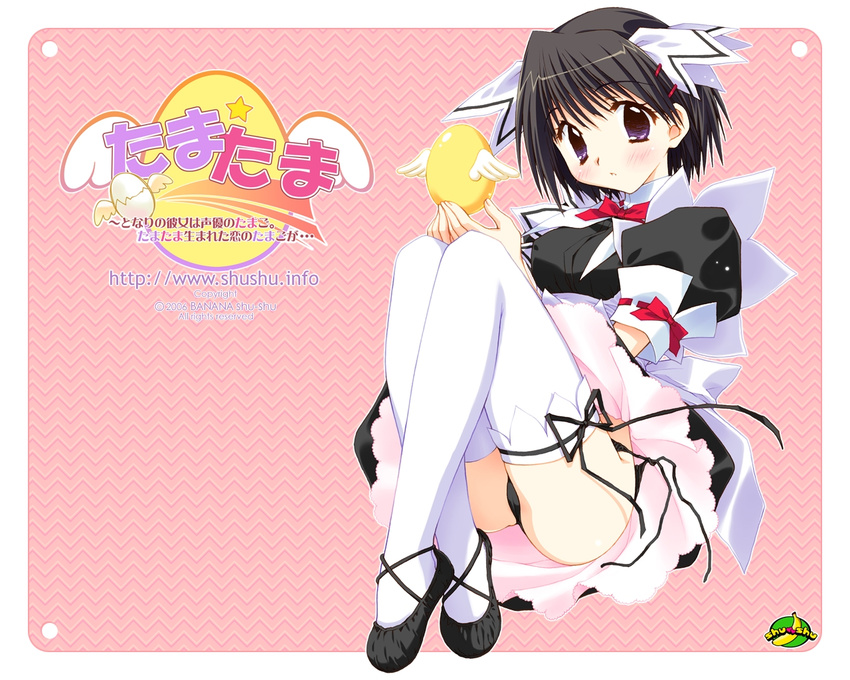 2006 :o bangs black_footwear black_hair black_panties blush bow bowtie copyright_name crossed_ankles dress egg full_body hair_ornament hair_ribbon hairclip holding kadoi_aya legs logo looking_at_viewer maid outline outside_border panties pantyshot petticoat pink_background puffy_short_sleeves puffy_sleeves purple_eyes ribbon ribbon-trimmed_sleeves ribbon_trim shoes short_hair short_sleeves side-tie_panties solo tamatama tareme thighhighs underbust underwear untied untied_panties wakui_saki wallpaper watermark web_address white_legwear white_ribbon wings