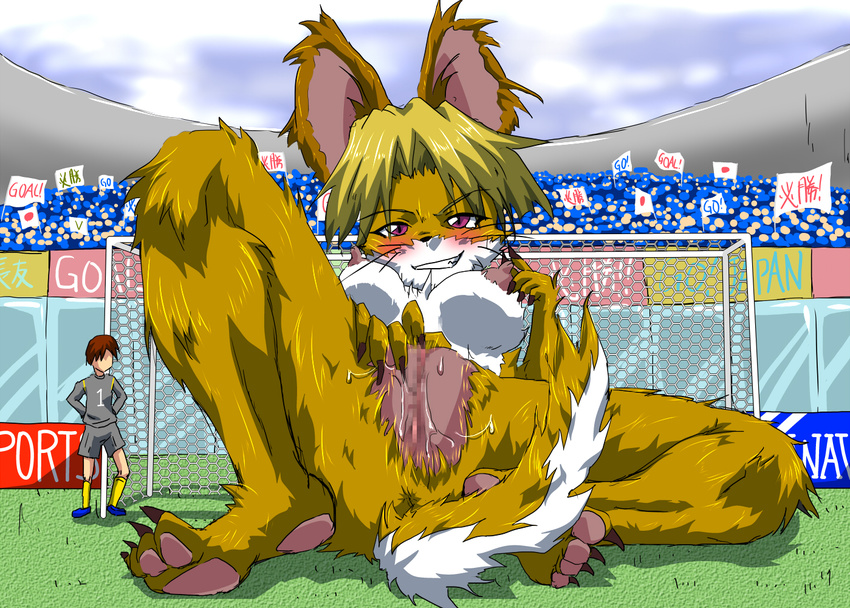 &#40658;&#22530;&#12459;&#12479;&#12490; ????? big_ears blonde_hair blue_shoes blush breasts brown_hair canine censored claws fox fur hair hindpaw human knee_socks kurodou macro male mammal masturbation nipples paws purple_eyes pussy smile soccer solo stadium whiskers white_fur yellow_fur yellow_legwear yellow_socks