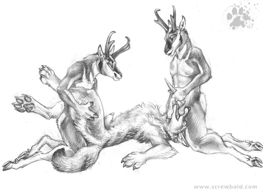 2007 anal anal_penetration animal_genitalia antlers ball_licking balls blotch canine claws coyote erection fellatio gay greyscale group group_sex hooves horn interspecies kneeling licking lying male mammal monochrome oral oral_sex pawprint penetration penis penis_tip plain_background pronghorn sex sheath signature sketch threesome tongue white_background