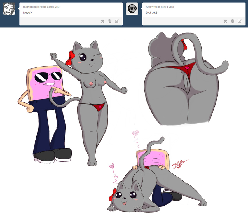 anthro anus biting_lip blush bow butt cat english_text eyewear feline female mammal nyan_cat nyan_ho panties plain_background pop-tart pussy sunglasses text timoteihiv tumblr underwear white_background