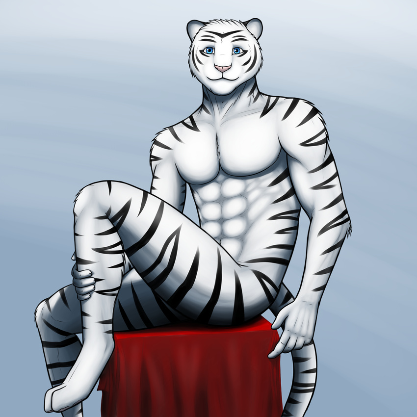 abs anthro aolun aolun_(artist) biceps black_fur blue_eyes body_markings feline fur looking_at_viewer male mammal markings muscles nude pecs pink_nose pose solo stand_(object) tiger white_tiger
