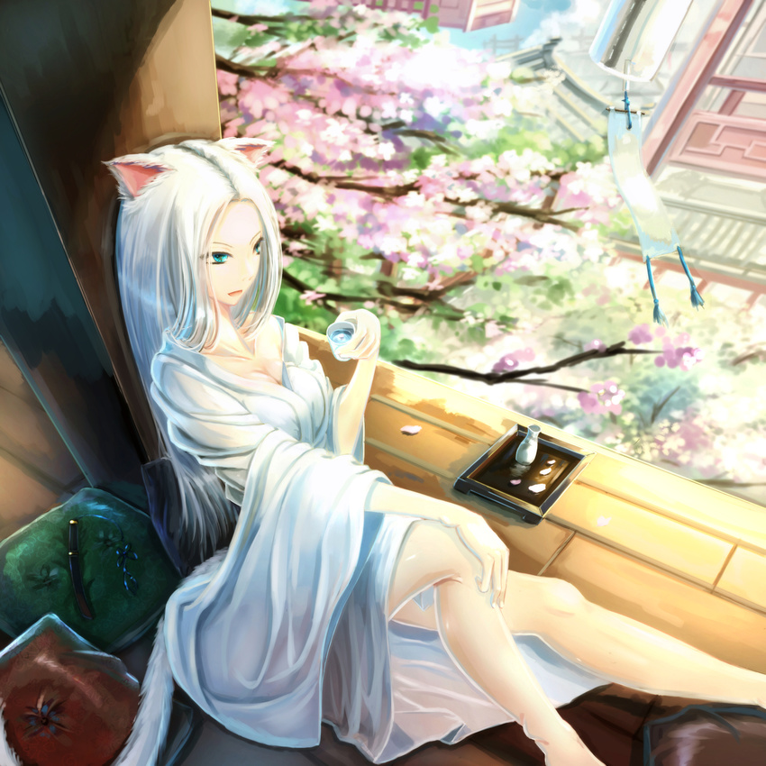 alcohol animal_ears aqua_eyes barefoot cat_ears cat_tail collarbone day female highres kikivi long_hair long_sleeves nekomimi open_mouth original pillow sake sakura sitting solo tail white_hair